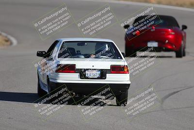 media/Nov-19-2023-Extreme Speed (Sun) [[bd0eec5490]]/Purple/Back Shots/